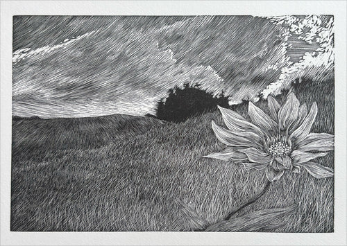 The flower and the weather