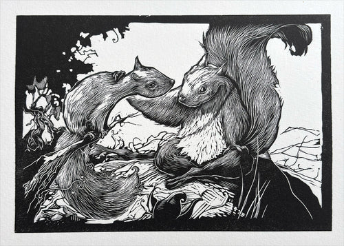 Squirrel finds a companion