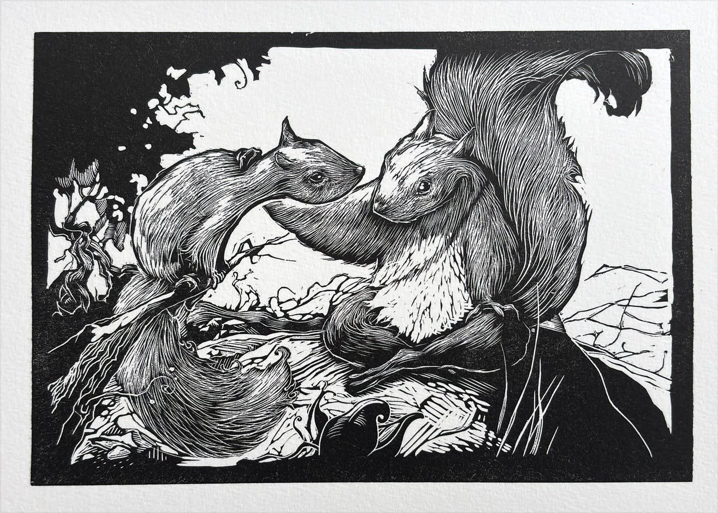 Squirrel finds a companion