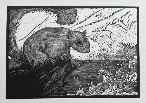 Squirrel and the sea