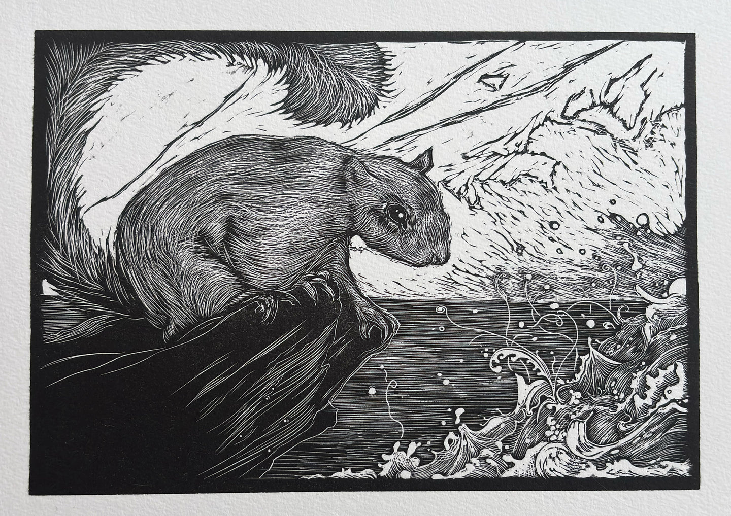 Squirrel and the sea