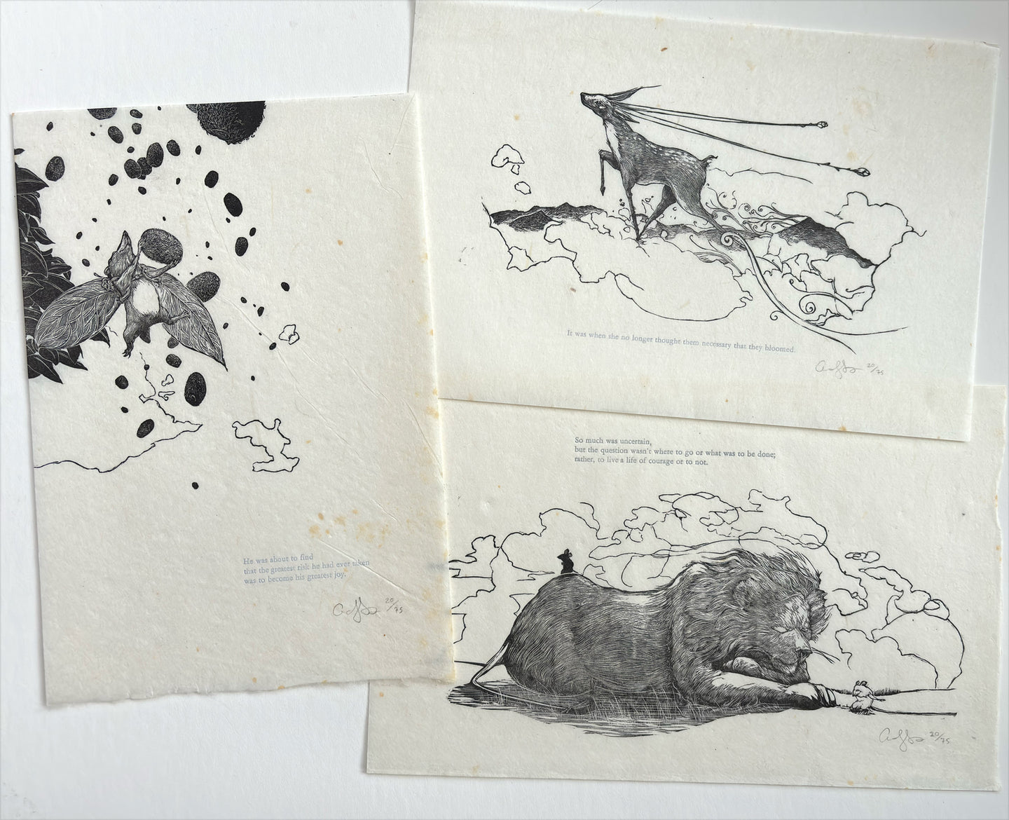 Storyprint collection (6 prints + case)
